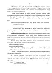 AB “Žemaitijos pienas“ finansinių ataskaitų analizė 11 puslapis