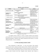 AB “Žemaitijos pienas“ finansinių ataskaitų analizė 13 puslapis