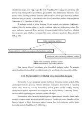 AB “Žemaitijos pienas“ finansinių ataskaitų analizė 14 puslapis
