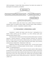 AB “Žemaitijos pienas“ finansinių ataskaitų analizė 9 puslapis