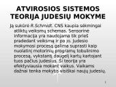 Bendroji kineziterapija 14 puslapis