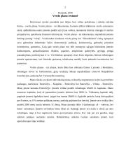 Individuali Šarūno Sokolovo įmonė „Auta“ verslo planas 2 puslapis