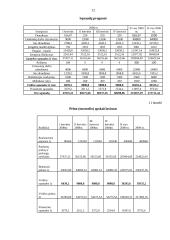 Individuali Šarūno Sokolovo įmonė „Auta“ verslo planas 12 puslapis
