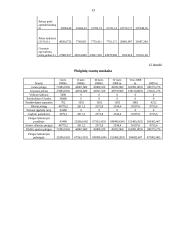 Individuali Šarūno Sokolovo įmonė „Auta“ verslo planas 13 puslapis