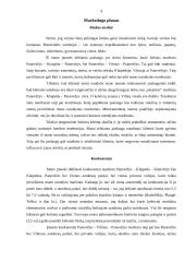 Individuali Šarūno Sokolovo įmonė „Auta“ verslo planas 4 puslapis