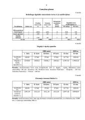 Individuali Šarūno Sokolovo įmonė „Auta“ verslo planas 8 puslapis