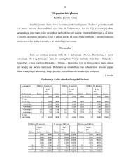 Individuali Šarūno Sokolovo įmonė „Auta“ verslo planas 9 puslapis