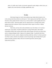 Palyginamoji Maltos Ordino ir Šv. Kazimiero Ordino praktikų analizė 13 puslapis