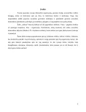 Palyginamoji Maltos Ordino ir Šv. Kazimiero Ordino praktikų analizė 3 puslapis