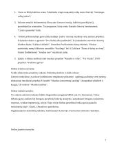 Palyginamoji Maltos Ordino ir Šv. Kazimiero Ordino praktikų analizė 7 puslapis