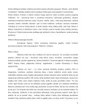 Palyginamoji Maltos Ordino ir Šv. Kazimiero Ordino praktikų analizė 8 puslapis