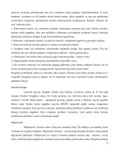 Palyginamoji Maltos Ordino ir Šv. Kazimiero Ordino praktikų analizė 9 puslapis