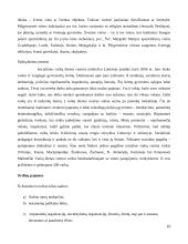 Palyginamoji Maltos Ordino ir Šv. Kazimiero Ordino praktikų analizė 10 puslapis