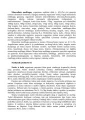 Mineralinės medžiagos, jų poveikis 3 puslapis