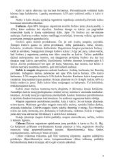 Mineralinės medžiagos, jų poveikis 4 puslapis