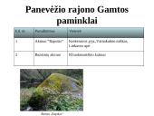 Biologinės įvairovės apsauga Panevėžio rajone  20 puslapis