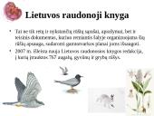 Biologinės įvairovės apsauga Panevėžio rajone  6 puslapis