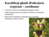 Biologinės įvairovės apsauga Panevėžio rajone  10 puslapis