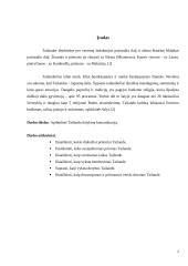 Dalykinė komunikacija Tailande 2 puslapis