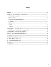 Mokslinio tyrimo procesas, metodai 2 puslapis