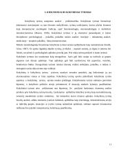 Mokslinio tyrimo procesas, metodai 11 puslapis