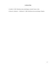 Mokslinio tyrimo procesas, metodai 17 puslapis