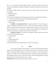 Mokslinio tyrimo procesas, metodai 7 puslapis