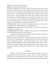 Mokslinio tyrimo procesas, metodai 8 puslapis