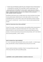 Spektaklio Pauliaus Širvio eilėraščiai spektaklyje Nutolę toliai (režisierius Cezaris Graužinis) recenzija 3 puslapis