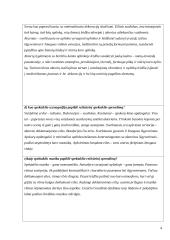Spektaklio Pauliaus Širvio eilėraščiai spektaklyje Nutolę toliai (režisierius Cezaris Graužinis) recenzija 4 puslapis