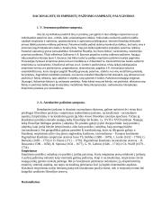 Racionalistų ir empiristų pažinimo sampratų palyginimas 2 puslapis