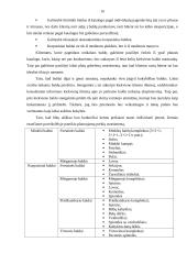 Prekybos įmonės steigimo verslo planas 16 puslapis