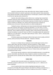 Japonijos statybos ekonomika 2 puslapis