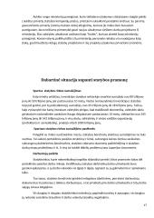 Japonijos statybos ekonomika 17 puslapis