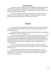 Japonijos statybos ekonomika 20 puslapis