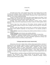 Organizacijos paslaugų naujo produkto pasiūlymo kūrimas ir jo įvedimo į rinką įvertinimas 2 puslapis