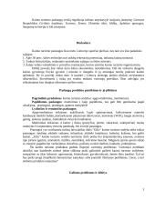 Organizacijos paslaugų naujo produkto pasiūlymo kūrimas ir jo įvedimo į rinką įvertinimas 3 puslapis