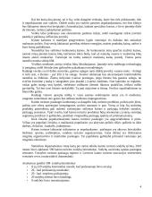 Organizacijos paslaugų naujo produkto pasiūlymo kūrimas ir jo įvedimo į rinką įvertinimas 4 puslapis