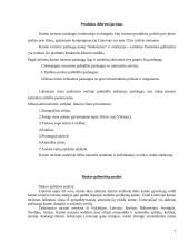 Organizacijos paslaugų naujo produkto pasiūlymo kūrimas ir jo įvedimo į rinką įvertinimas 7 puslapis