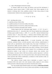 AB "Pieno žvaigždės" vertės nustatymas diskontuotų pinigų srautų metodu 14 puslapis