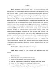 AB "Pieno žvaigždės" vertės nustatymas diskontuotų pinigų srautų metodu 3 puslapis