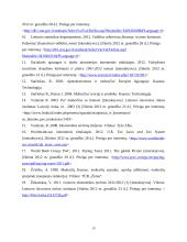 Lyginamoji Lietuvos ir Jungtinės Karalystės mokesčių naštos analizė 2001 - 2011 m. 19 puslapis