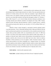 Lyginamoji Lietuvos ir Jungtinės Karalystės mokesčių naštos analizė 2001 - 2011 m. 4 puslapis