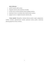 Lyginamoji Lietuvos ir Jungtinės Karalystės mokesčių naštos analizė 2001 - 2011 m. 5 puslapis