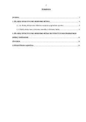 Išlaidų efektyvumo didinimo būdai 2 puslapis