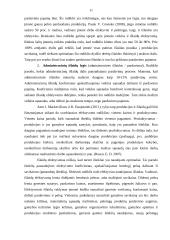 Išlaidų efektyvumo didinimo būdai 11 puslapis