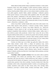 Išlaidų efektyvumo didinimo būdai 14 puslapis