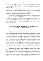 Išlaidų efektyvumo didinimo būdai 16 puslapis