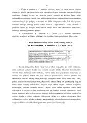 Išlaidų efektyvumo didinimo būdai 17 puslapis