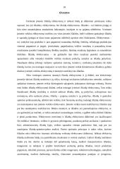 Išlaidų efektyvumo didinimo būdai 18 puslapis